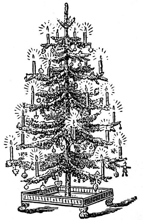 sapin de noel décoré - gravure